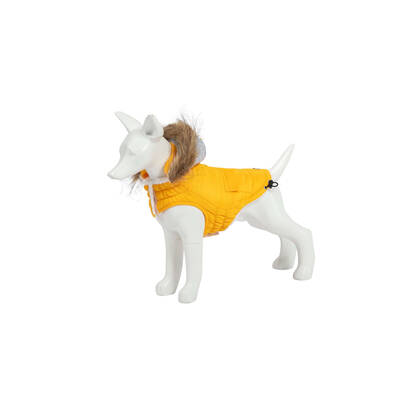 FREEDOG Παλτό Pooch Κίτρινο 20cm