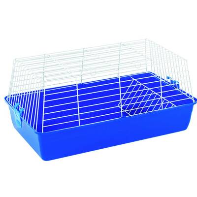 Κουνελόκλουβο Bon R2