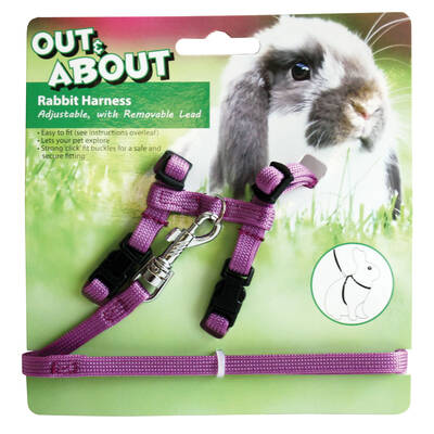 HAPPYPET Rabbit Harness & Lead Set Purple