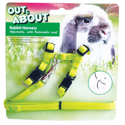 HAPPYPET Rabbit Harness & Lead Set Green