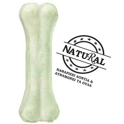 NATURAL Κόκκαλο Ασβεστίου Συμπαγές (1τμχ) 20cm