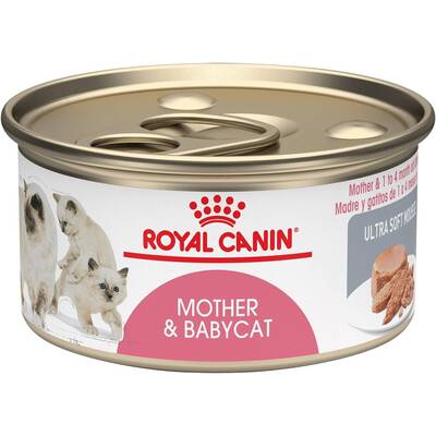ROYAL CANIN Babycat 195gr