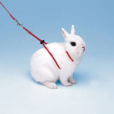 FERPLAST Rabbit Harness Red