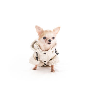 PET CAMELOT Dog's Coat Λευκό XXL 50cm