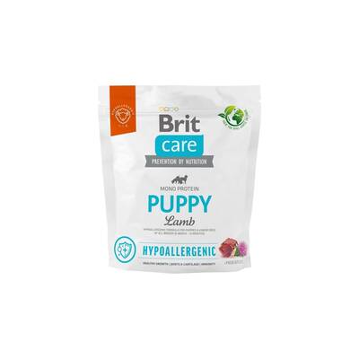 BRIT Care Dog Hypoallergenic Puppy Lamb 1kg
