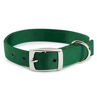 RECORD NYLON COLLAR 45 x 2cm Assorted