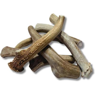 ANTLER Κέρατο Ελαφιού Medium