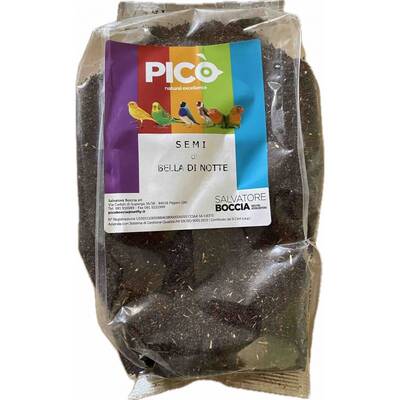 PICO Semi Di Bella Di Notte 500gr