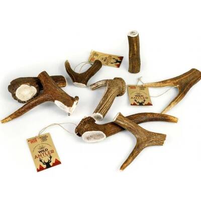 CELEBRATE Κέρατο Red Deer Antler XXL 160-210gr