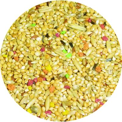 Premium Professional Παπαγαλίνη 20kg