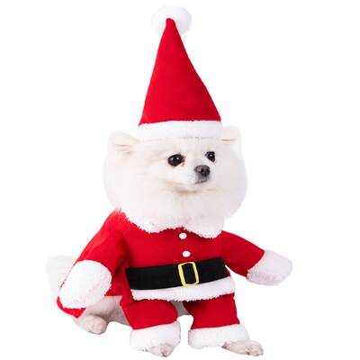 DENIKPETS Στολή Σκύλου Άγιος Βασίλης 3S