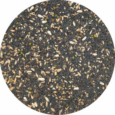 Ornitalia - Σπόροι βλαστώματος για καναρίνι (χρώματος και τύπου) - 1kg