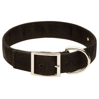 AVENUE Nylon Dog Black Collar 2.5cm x 65cm