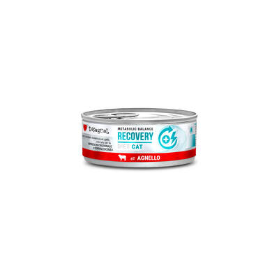 DISUGUAL Diet Cat-Recovery Lamb 85gr