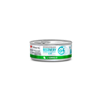 DISUGUAL Diet Cat-Recovery Rabbit 85gr