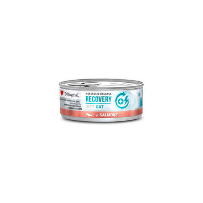 DISUGUAL Diet Cat-Recovery Salmon 85gr