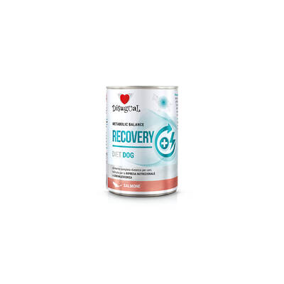 DISUGUAL Diet Dog-Recovery Salmon 400gr