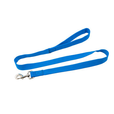 AVENUE Nylon Dog Blue Lead 1.9cm x 1.2m