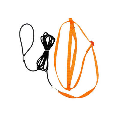 Λουρί σώματος για παπαγάλο πορτοκαλί έντονο XXS