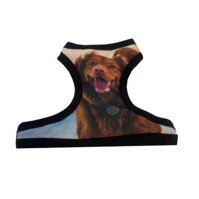 WOOF UP Σαμαράκι Σκύλου S