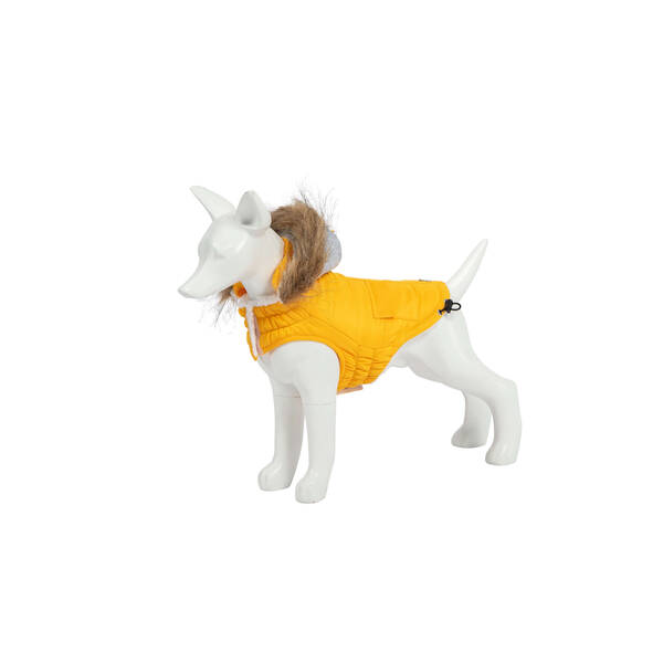 FREEDOG Παλτό Pooch Κίτρινο 20cm