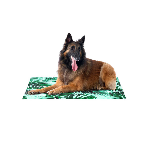 FREEDOG Eco Cool Bed (foam) 65x50cm Savannah FREEDOG Eco Cool Bed (foam) 65x50cm Savannah