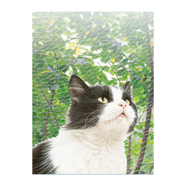 PAWISE Δίχτυ Ασφαλείας Μπαλκονιού Διάφανο 6x3cm PAWISE Δίχτυ Ασφαλείας Μπαλκονιού Διάφανο 6x3cm