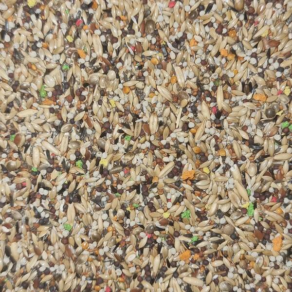 NATURLINE Κελαϊδίνη Με Μπισκότο Χύμα (Κιλό)