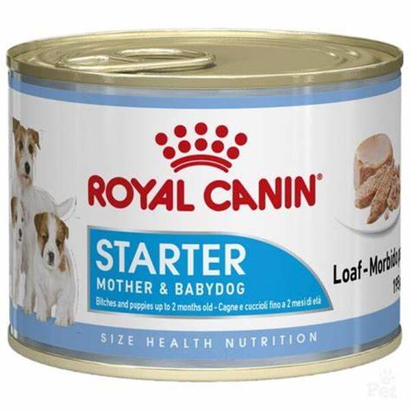 ROYAL CANIN Starter Mousse 195gr ROYAL CANIN Starter Mousse 195gr
