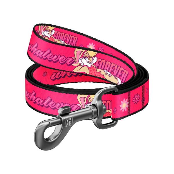 WAUDOG Naylon Leash Looney 20mm 122cm