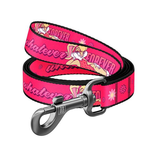 WAUDOG Naylon Leash Looney 25mm 122cm WAUDOG Naylon Leash Looney 25mm 122cm