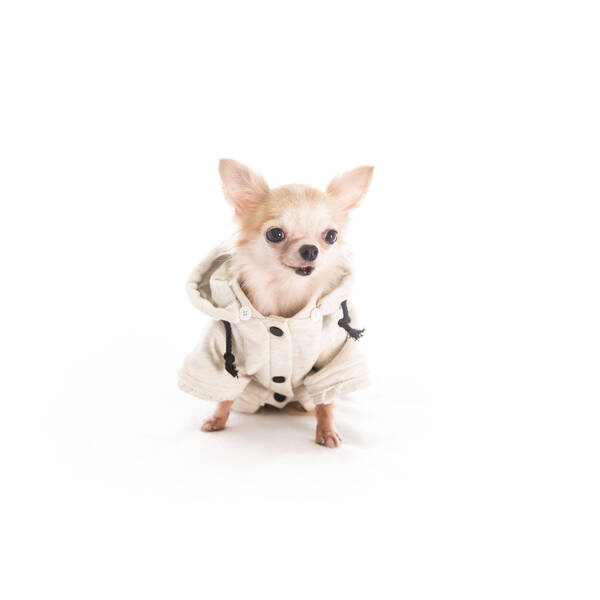 PET CAMELOT Dog's Coat Λευκό XL 45cm