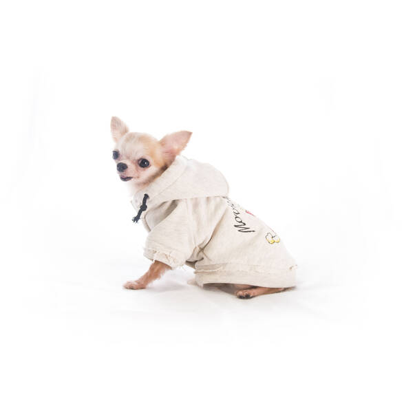 PET CAMELOT Dog's Coat Λευκό XS 25cm