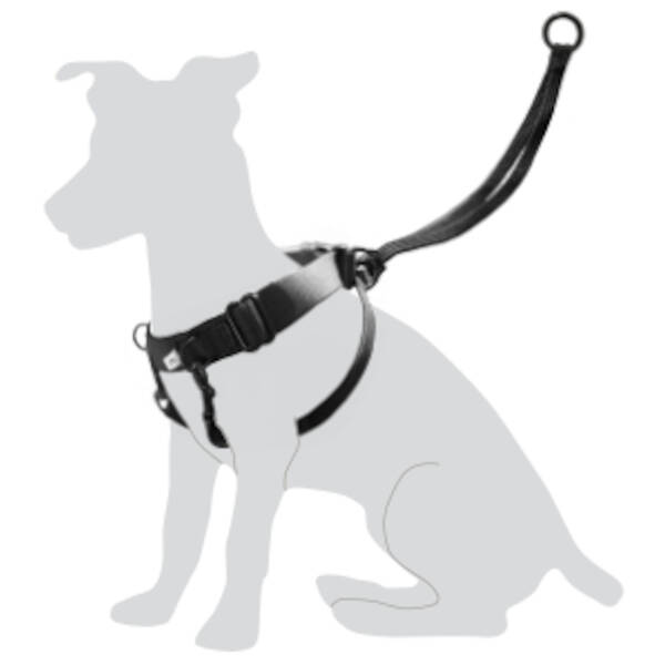 FLAMINGO Harness Easy Walker Black  M 35-45cm 105cm