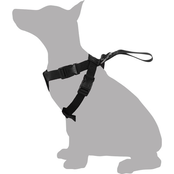 FLAMINGO Car safety harness Baro Black M 48-68cm