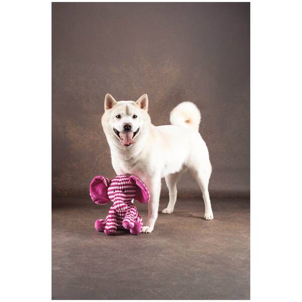 Azor Ροζ Ελέφαντας 28x20x28 cm