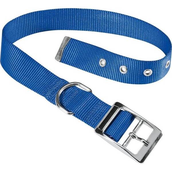 AVENUE Nylon Dog Blue Collar 2.5cm x 65cm