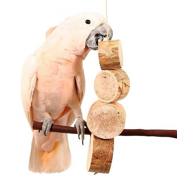 Τεράστιο Bird Kabob Φυσικό παιχνίδι παπαγάλου -48X10εκ