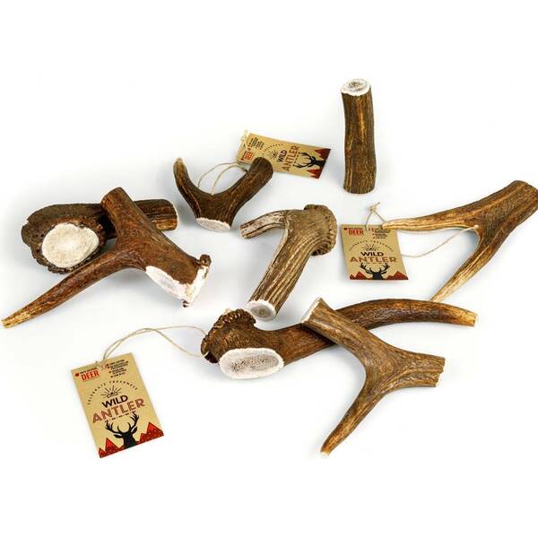 CELEBRATE Κέρατο Red Deer Antler Giant 210gr plus CELEBRATE Κέρατο Red Deer Antler Giant 210gr plus