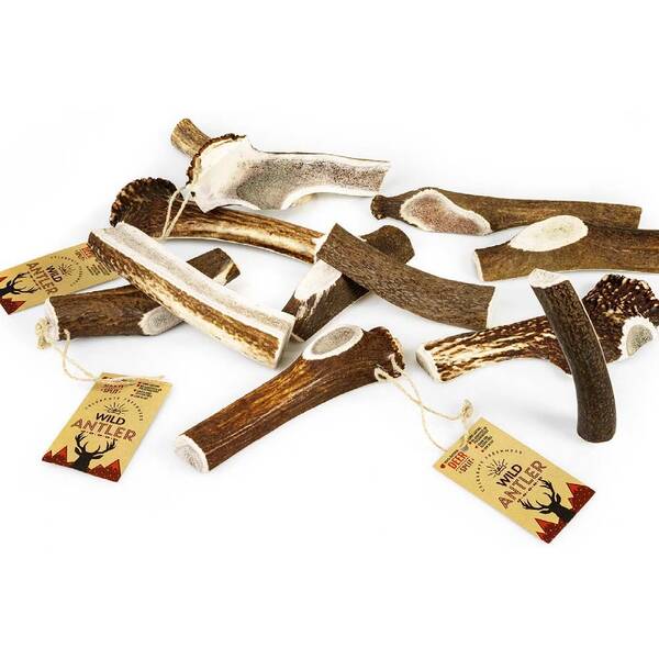 CELEBRATE Κέρατο Red Deer Split Antler L 120-160gr CELEBRATE Κέρατο Red Deer Split Antler L 120-160gr