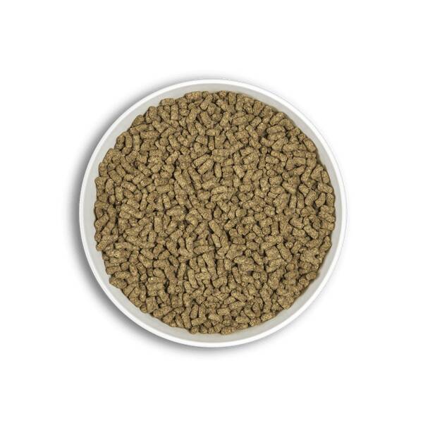 Cunipic Alpha Pro Adult Guinea Pig 500gr