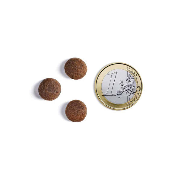 AMBROSIA GF Dog Adult Fresh Turkey & Duck 2kg AMBROSIA GF Dog Adult Fresh Turkey & Duck 2kg