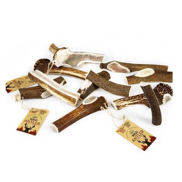 CELEBRATE Κέρατο Red Deer Split Antler M 80-120gr