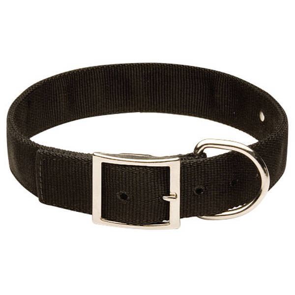 AVENUE Nylon Dog Black Collar 2.5cm x 65cm