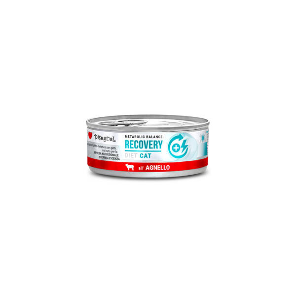 DISUGUAL Diet Cat-Recovery Lamb 85gr DISUGUAL Diet Cat-Recovery Lamb 85gr