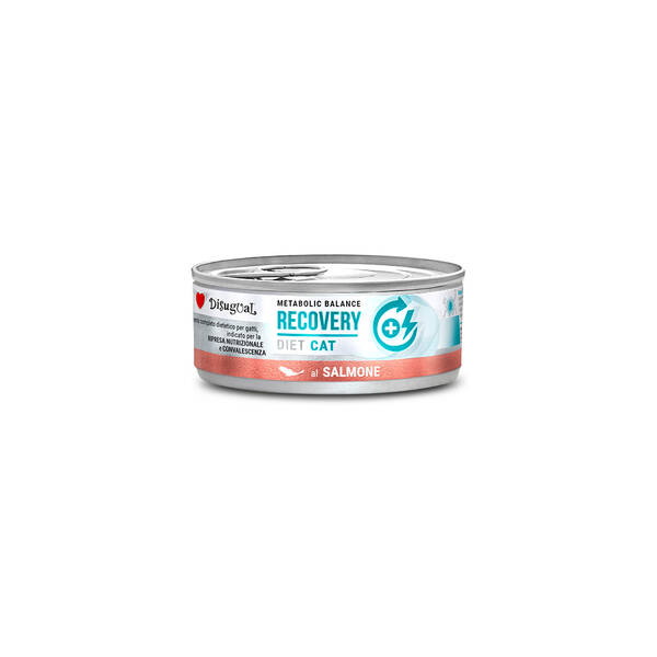 DISUGUAL Diet Cat-Recovery Salmon 85gr