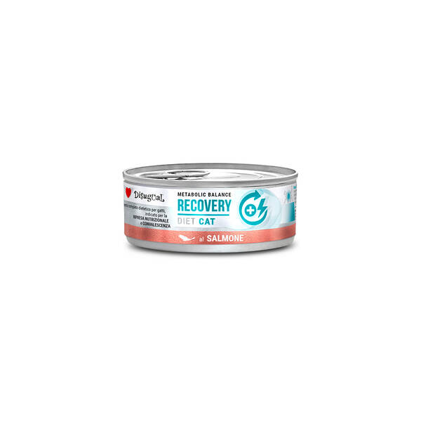 DISUGUAL Diet Cat-Recovery Salmon 85gr DISUGUAL Diet Cat-Recovery Salmon 85gr
