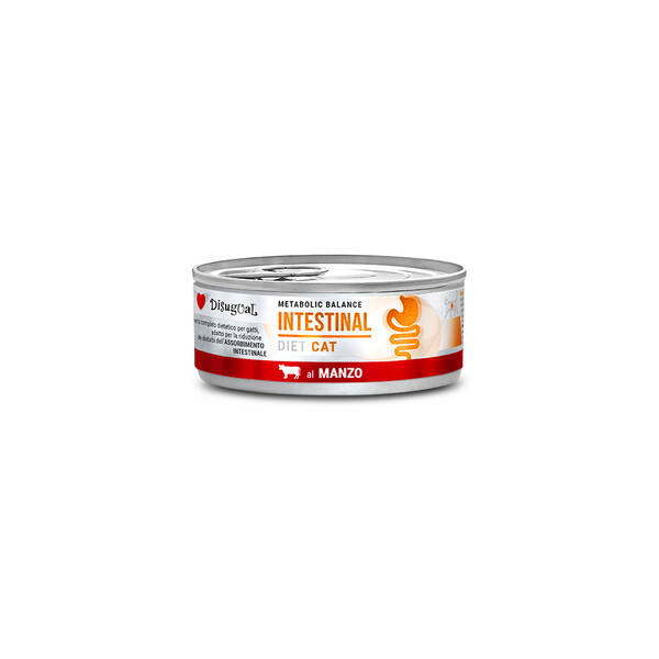 DISUGUAL Diet Cat-Intestinal Beef 85gr DISUGUAL Diet Cat-Intestinal Beef 85gr