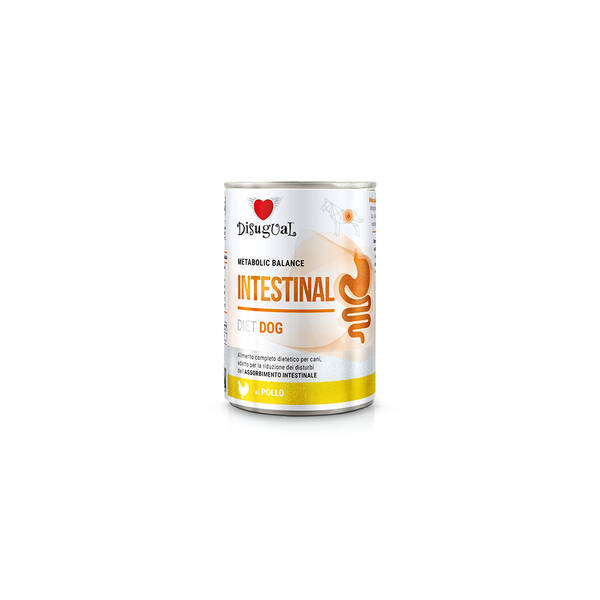 DISUGUAL Diet Dog  Intestinal Chicken 400gr