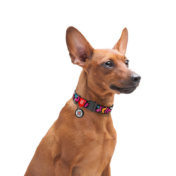 WAUDOG Naylon Dog Collar QR Passport ''Graffiti'' M - 20mm X 24-40cm (5116)